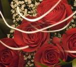 نمایه کاربر