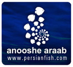 نمایه کاربر