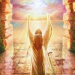 نمایه کاربر