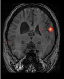 نمایه کاربر