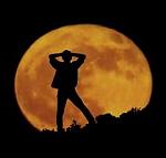 نمایه کاربر