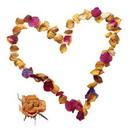 نمایه کاربر