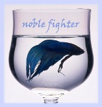 نمایه کاربر