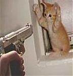 نمایه کاربر