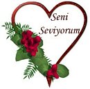 نمایه کاربر