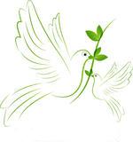 نمایه کاربر