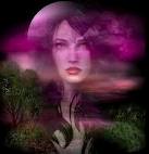 نمایه کاربر