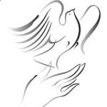 نمایه کاربر