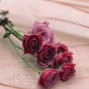 نمایه کاربر