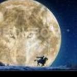 نمایه کاربر