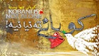 نمایه کاربر