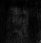 نمایه کاربر