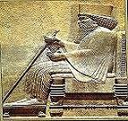 نمایه کاربر