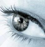 نمایه کاربر