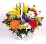 نمایه کاربر